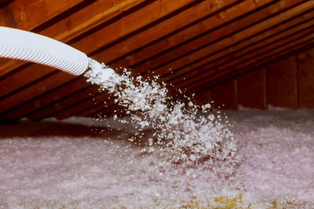 Best Insulation Installation Services in Riverdale, GA